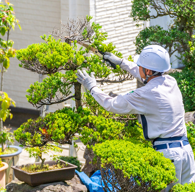 一緒に美しい景観を作りませんか？